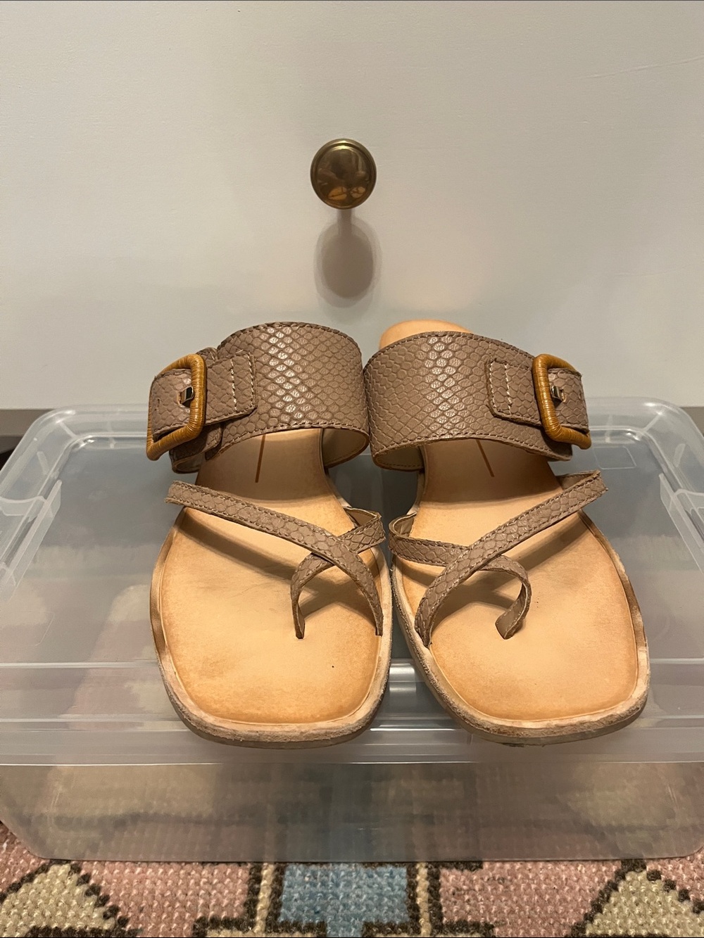 Dolce Vita Toe-Loop Sandals